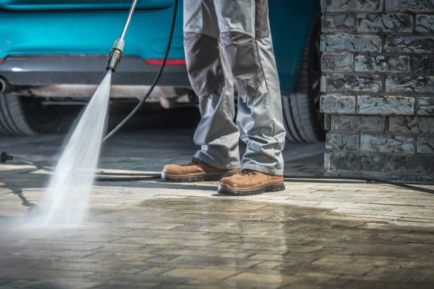 Best Sign and Awning Cleaning  in Perry, MI