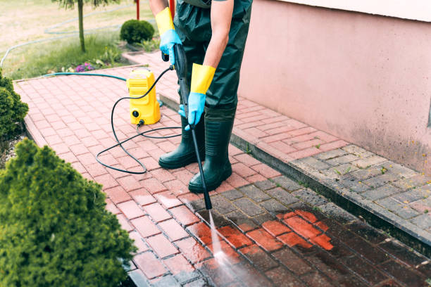 Best Driveway Pressure Washing  in Perry, MI