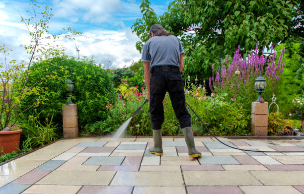 Animal Enclosure Cleaning in Perry, MI